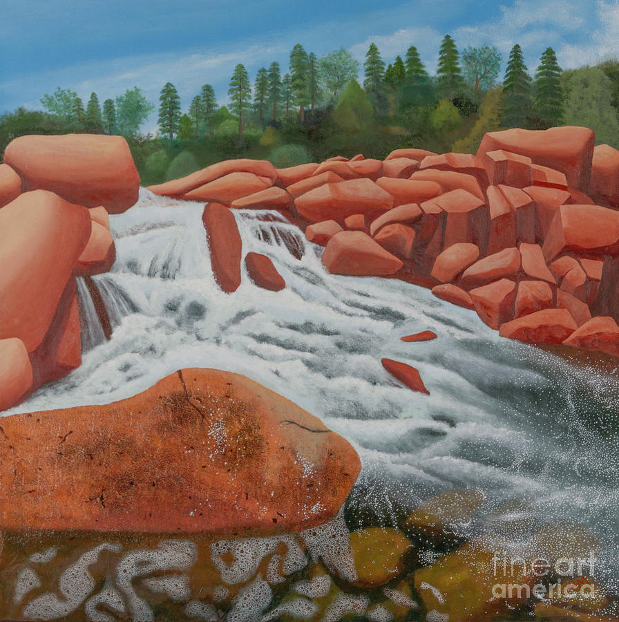 Castor River Rapids Painting by Garry McMichael