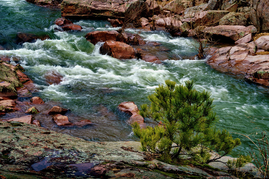 Castor River Shutins and Pine Color Missouri GRK4857_03162021 Photograph by Greg Kluempers