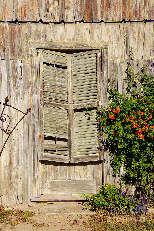 Castroville Wood Door Shutters Photograph by Bob Phillips