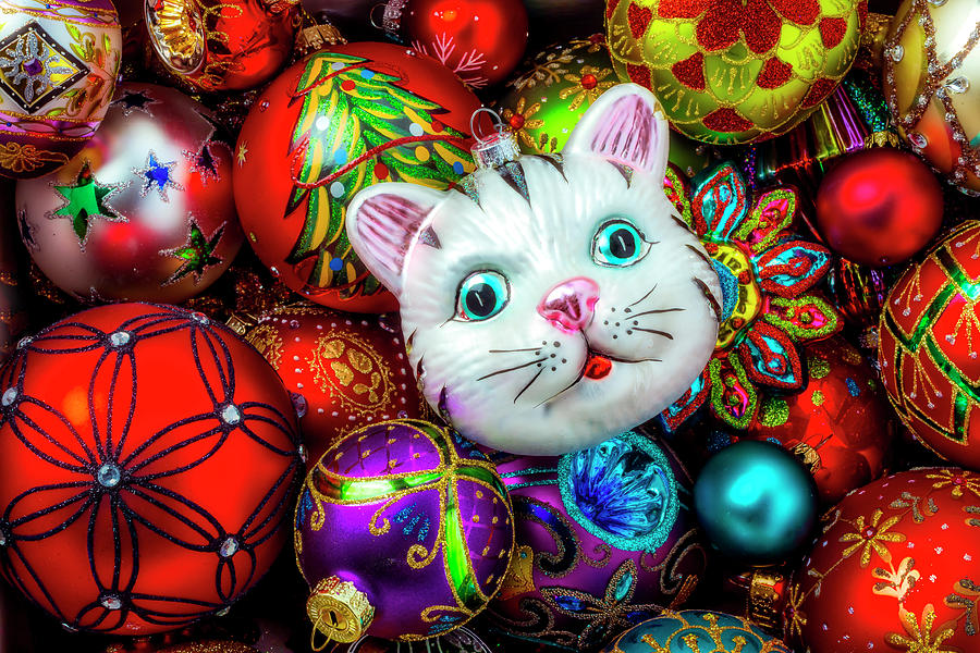 Cat And Beautiful Ornaments Photograph by Garry Gay