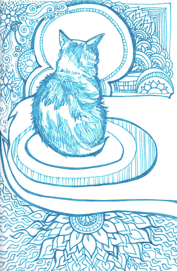 Cat and Doodles Drawing by Katherine Nutt