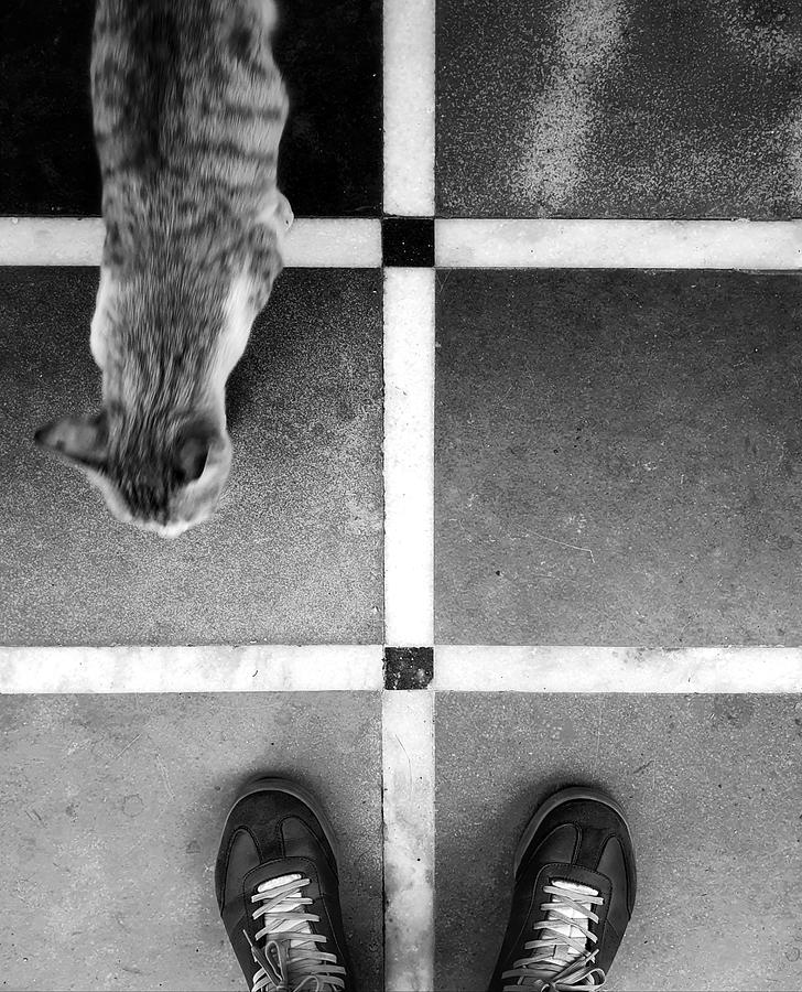 Cat and Feet Photograph by Prakash Ghai