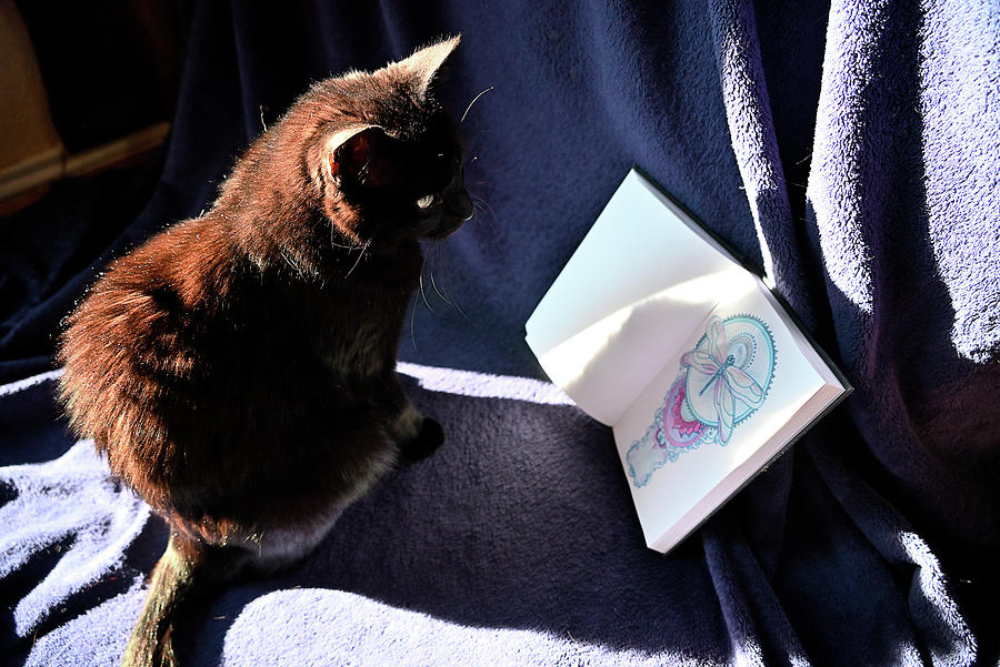 Cat and Journal January 10th Photograph by Katherine Nutt