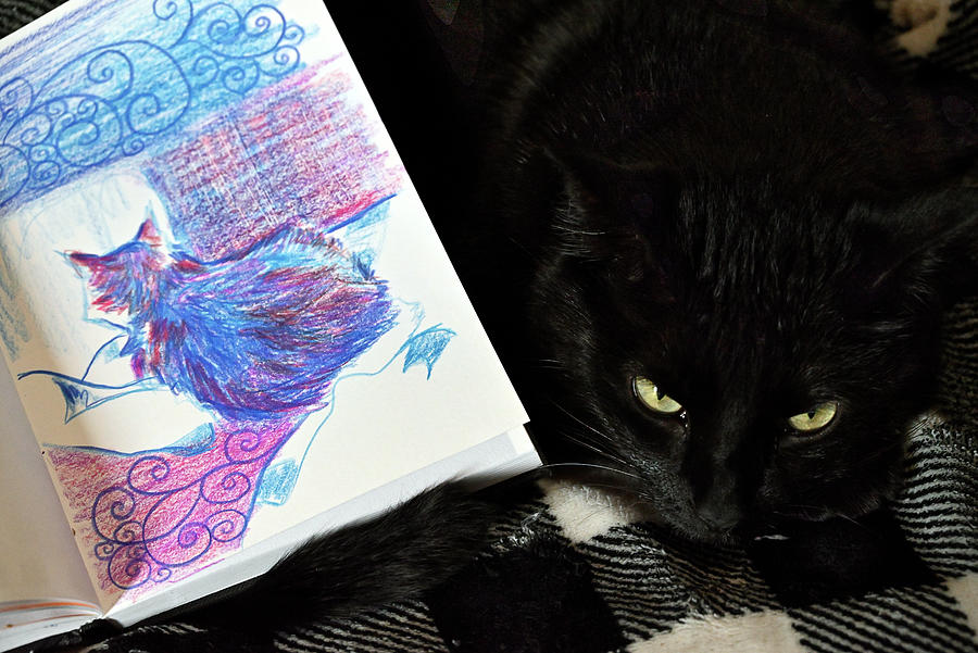 Cat And Journal - Sketch And Model Photograph