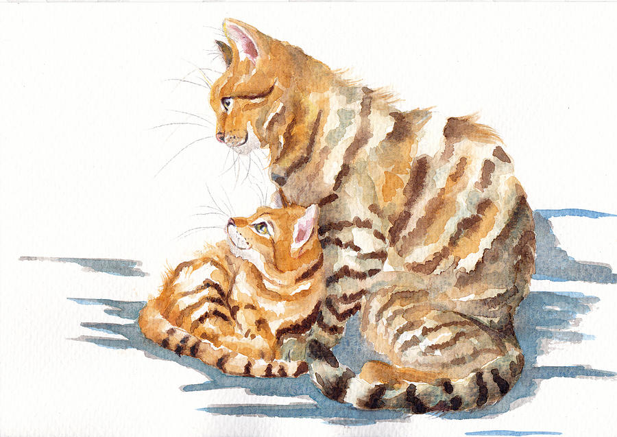 Cat Painting - Cat and Kitten - We Are Family by Debra Hall