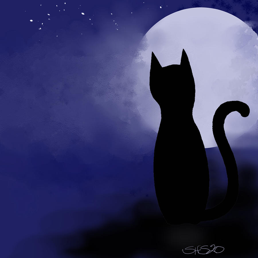 Cat and Moon Digital Art by Shann Howard - Fine Art America