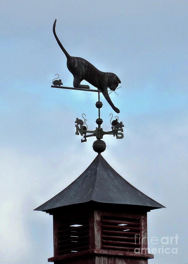 Cat And Mouse Weathervane Photograph By Dawn Steiger Fine Art America