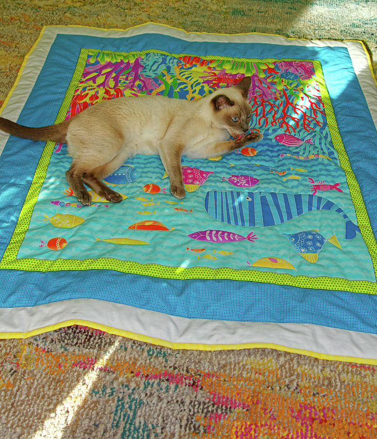 Cat Bathing on Quilt Photograph by Sally Weigand