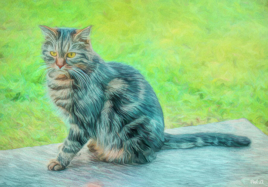 Cat Beauty Digital Art by Jutta Maria Pusl