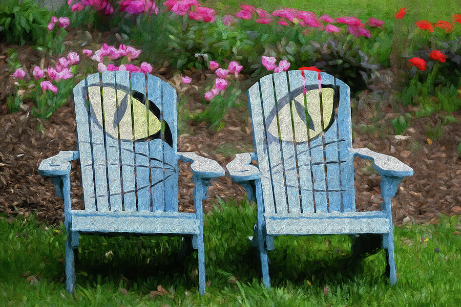Cat Chairs Photograph by Georgette Grossman