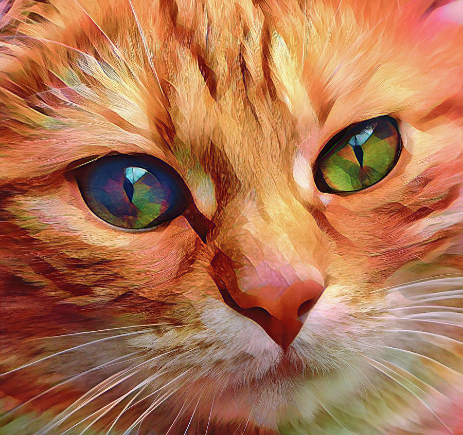 Cat Close Up Digital Art by Terry Davis
