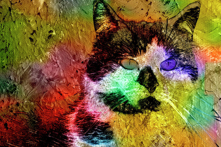 Cat Complex Mixed Media by Rob Hemphill