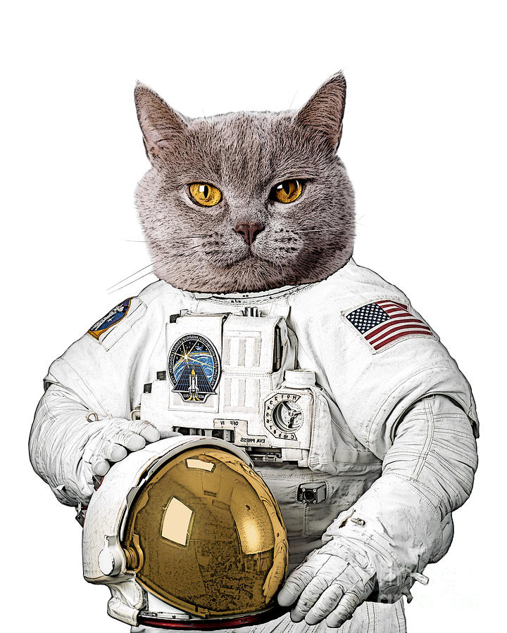 Space Digital Art - Cat Cosmonaut by Madame Memento