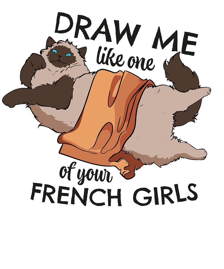 Cat Draw Me Like One Of Your French Girls Digital Art by Toms Tee Store