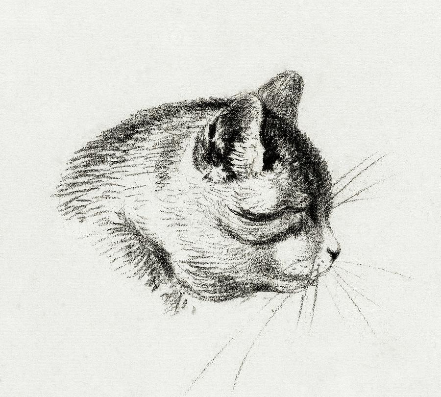 Cat Drawing 11 by Jean Bernard 1800 Drawing by Jean Bernard Duvivier