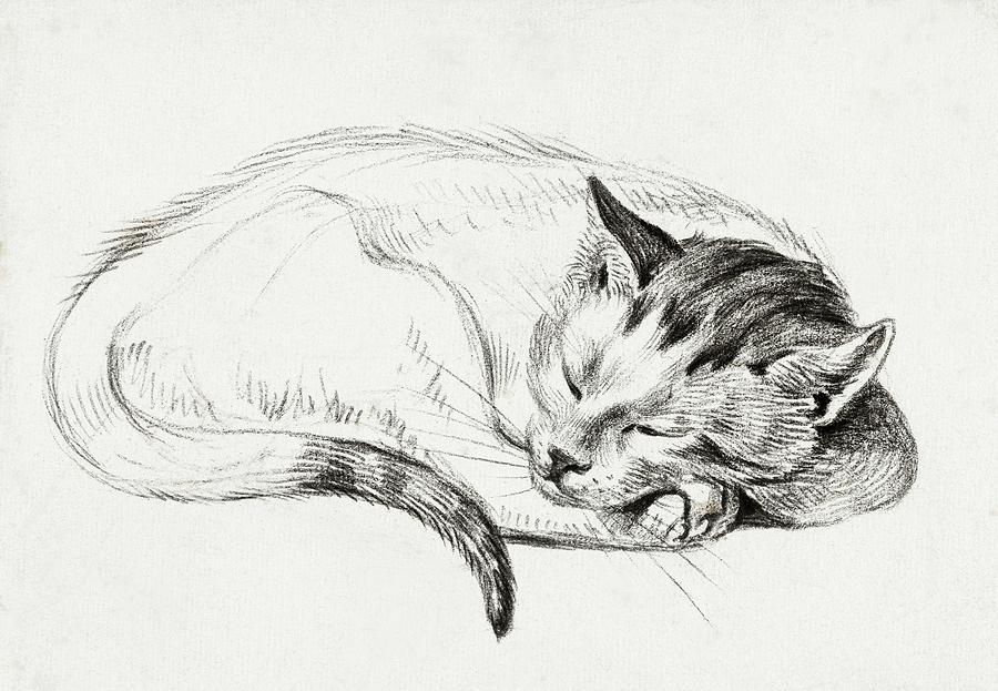 Cat Drawing 13 by Jean Bernard 1812 Drawing by Movie Poster Prints