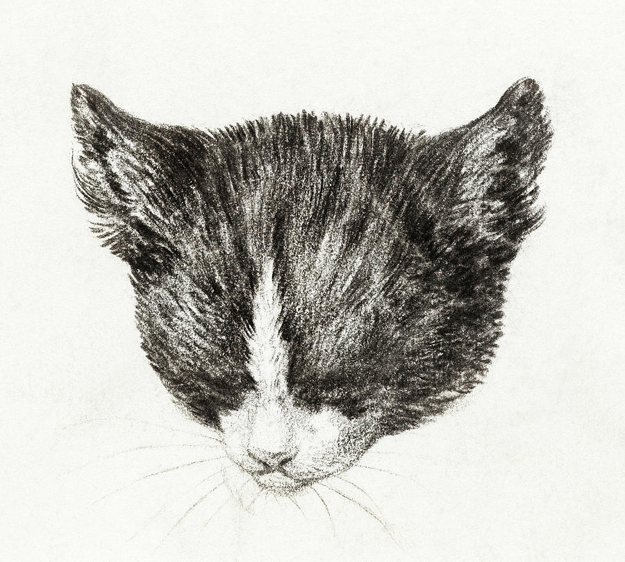 Cat Drawing 14 by Jean Bernard 1800 Drawing by Jean Bernard Duvivier