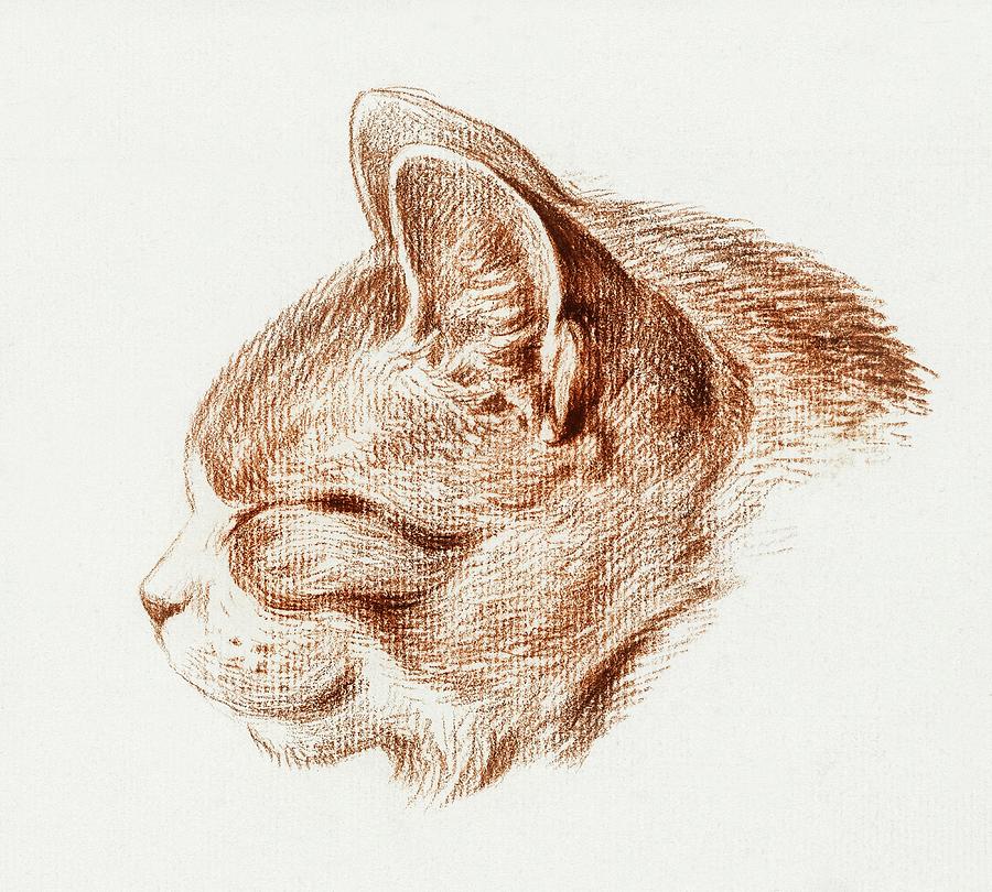 Cat Drawing 17 by Jean Bernard 1813 Drawing by Movie Poster Prints