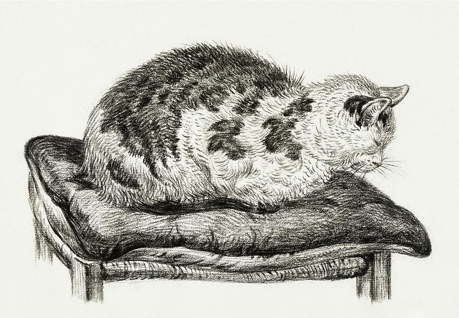 Cat Drawing 21 by Jean Bernard 1828 Drawing by Movie Poster Prints