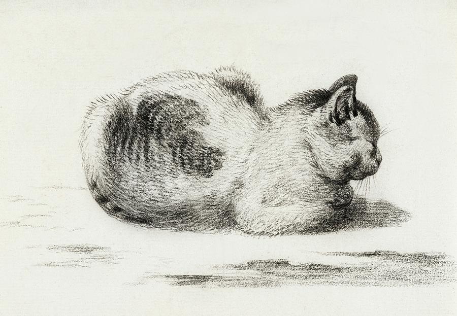 Cat Drawing 24 by Jean Bernard 1800 Drawing by Movie Poster Prints