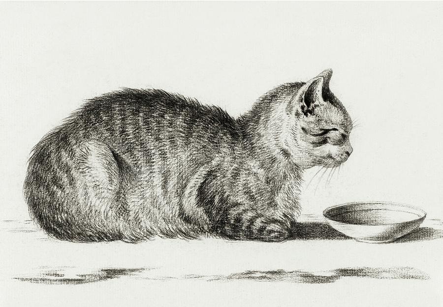Cat Drawing 26 by Jean Bernard 1812 Drawing by Jean Bernard Duvivier