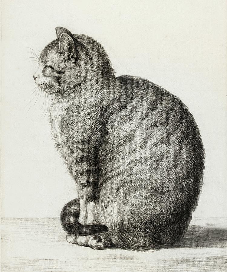 Cat Drawing - Cat Drawing 27 by Jean Bernard 1815 by Movie Poster Prints