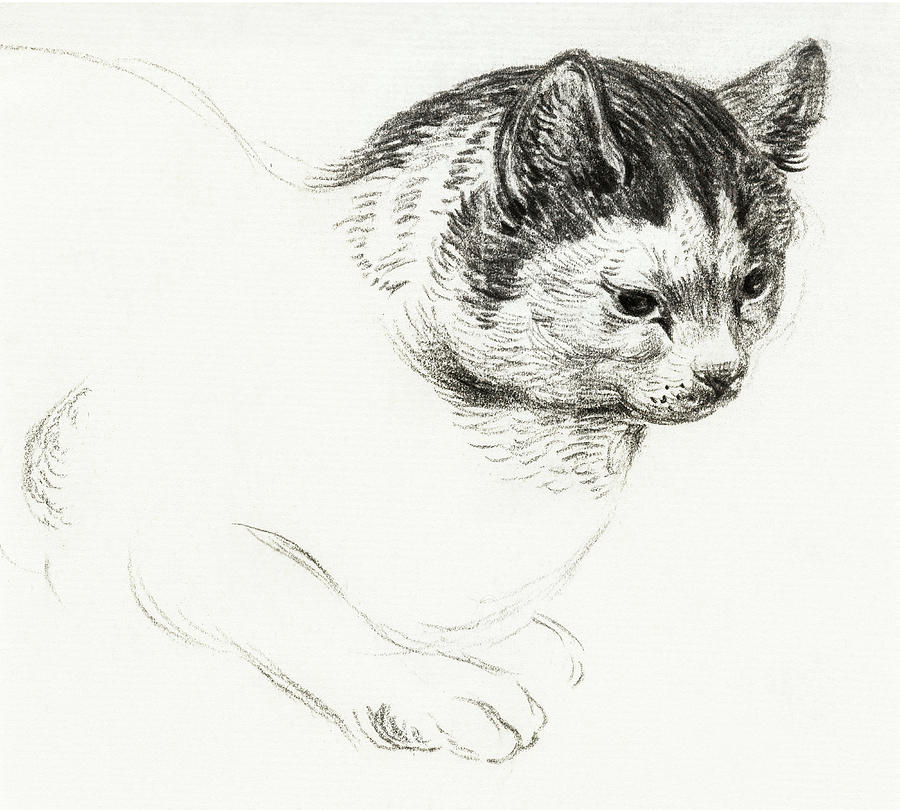 Cat Drawing 3 by Jean Bernard 1800 Drawing by Movie Poster Prints