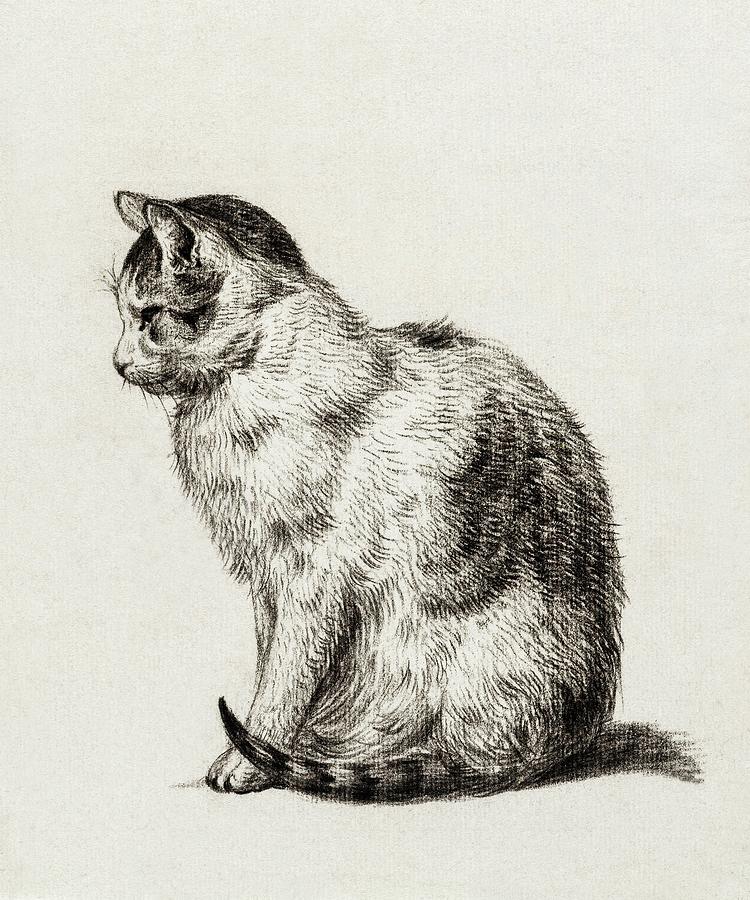 Cat Drawing 30 by Jean Bernard 1819 Drawing by Movie Poster Prints