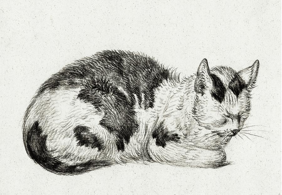 Cat Drawing 4 by Jean Bernard 1828 Drawing by Movie Poster Prints