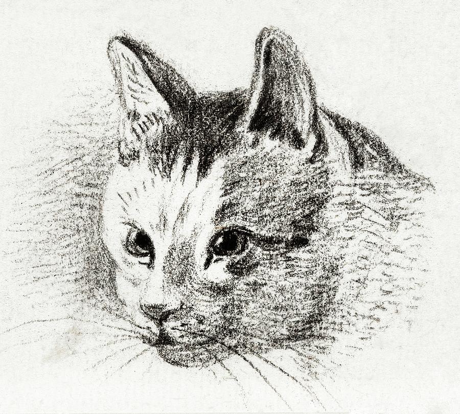 Cat Drawing 5 by Jean Bernard 1800 Drawing by Movie Poster Prints