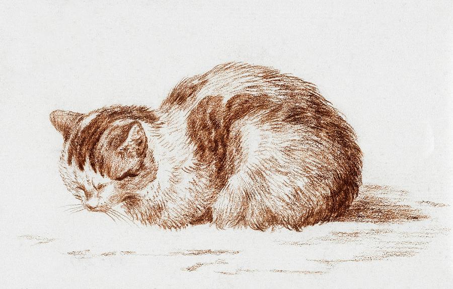 Cat Drawing 6 by Jean Bernard 1812 Drawing by Movie Poster Prints
