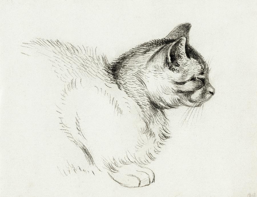 Cat Drawing 7 by Jean Bernard 1812 Drawing by Movie Poster Prints