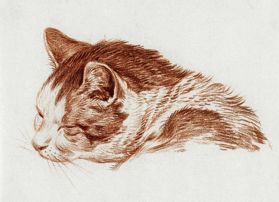 Cat Drawing 8 by Jean Bernard 1818 Drawing by Movie Poster Prints