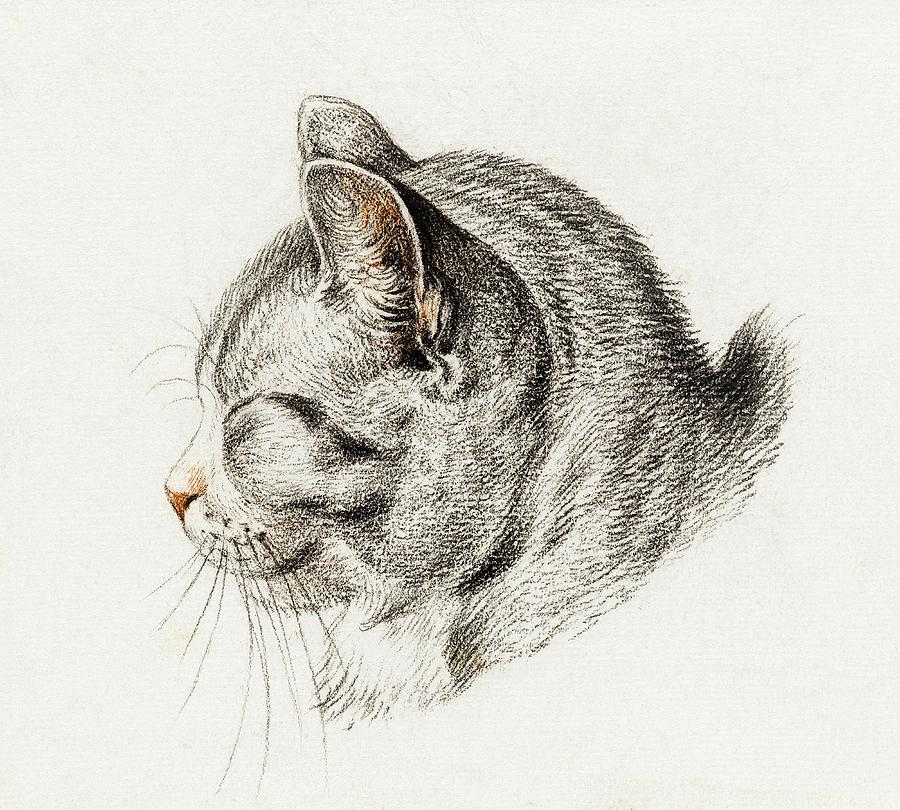 Cat Drawing 9 by Jean Bernard 1813 Drawing by Movie Poster Prints