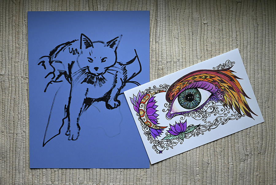 Cat Drawing and Eye Drawing Photograph by Katherine Nutt