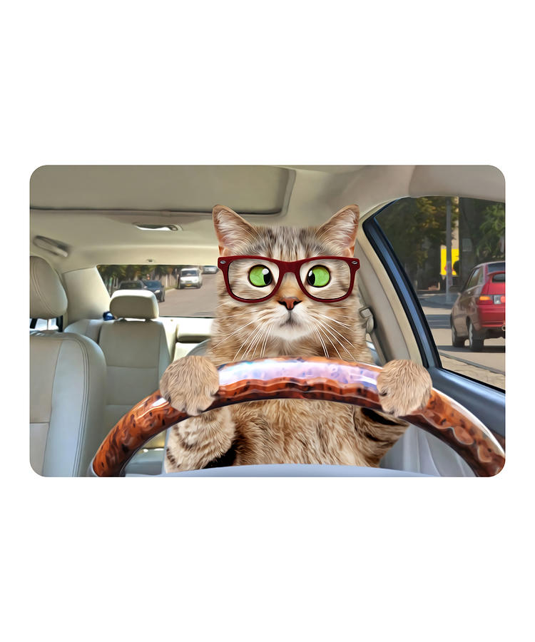 Cat Driving A Car Poster Copy Copy Copy Painting by Shaw Tina | Fine ...