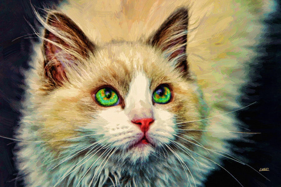 Cat - Dwp1069990 Painting
