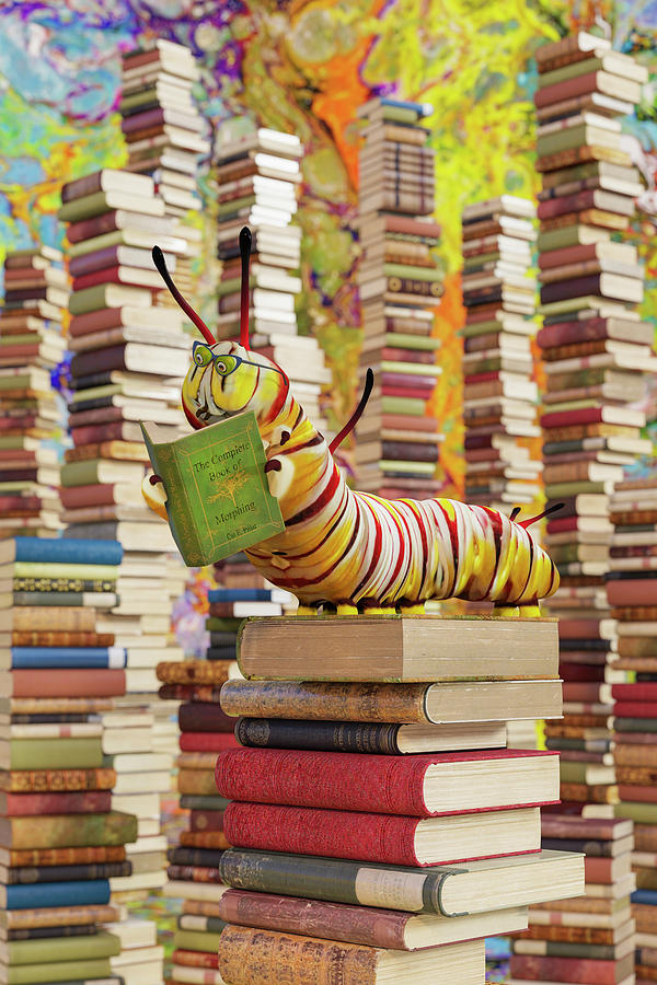 Book Digital Art - Cat E Pillar in the Library by Betsy Knapp