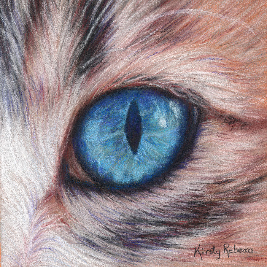 Cat Eye Study Drawing by Kirsty Rebecca