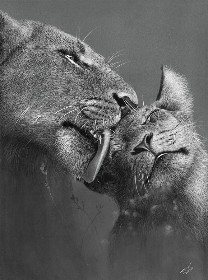 Wildlife Drawing - Cat Got Your Tongue by JPW Artist