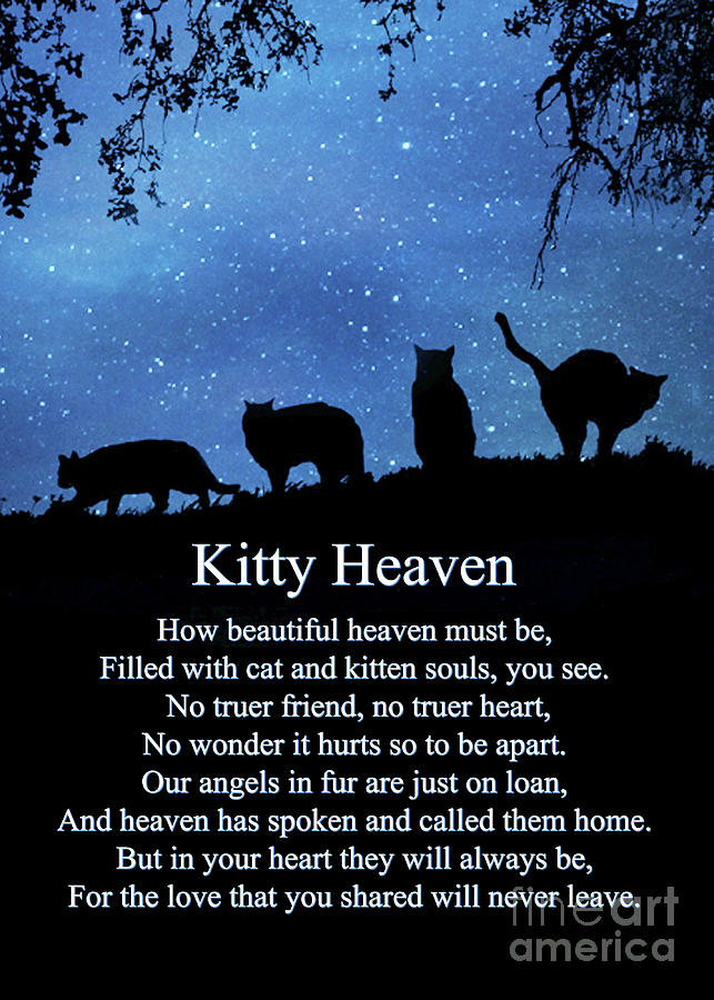 Cat Heaven Sympathy Poem for Memorial For Cat Photograph by Stephanie Laird