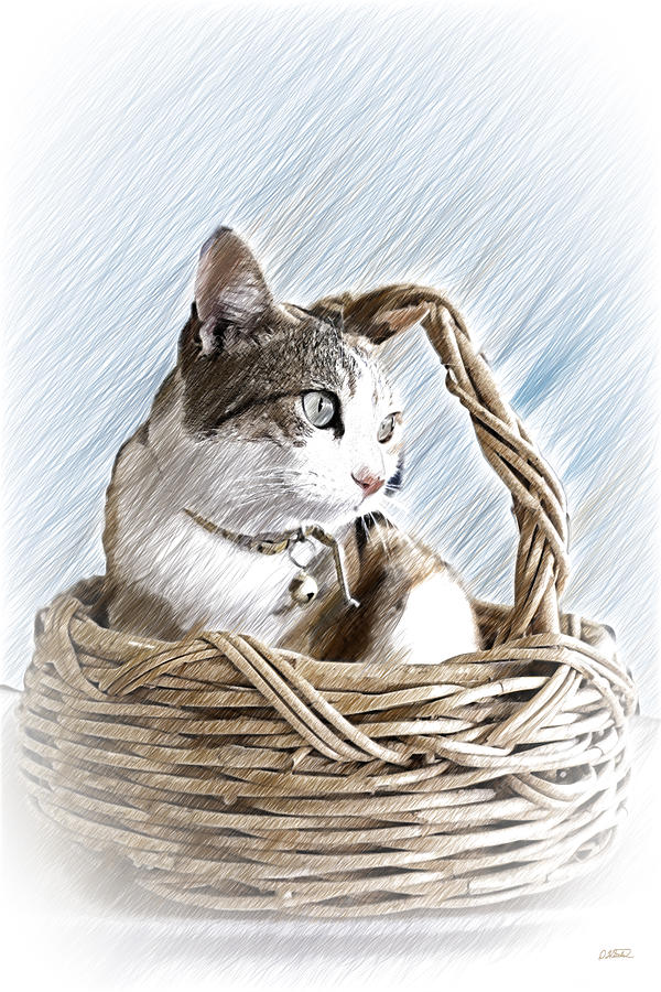 Cat in Basket - DWP7898716 Drawing by Dean Wittle