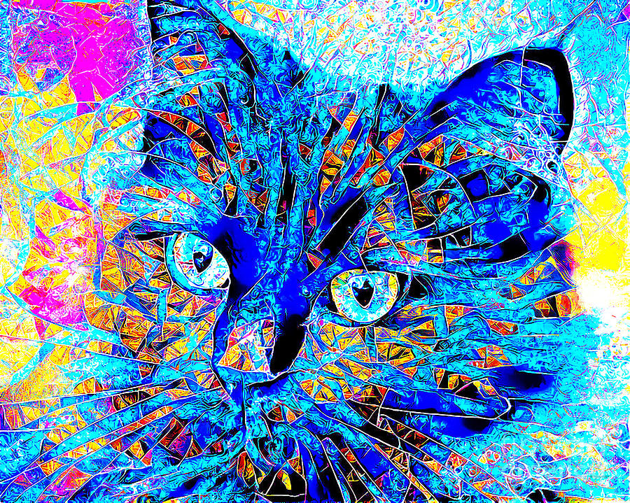 Cat in Contemporary Vibrant Color 20201123 Photograph by Wingsdomain Art and Photography