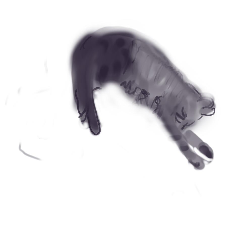 Cat in mid air Digital Art by Jacinta Hunt | Pixels