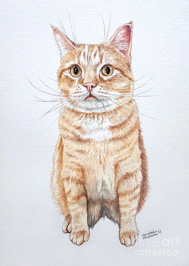 Cat in orange and white Painting by Christopher Shellhammer