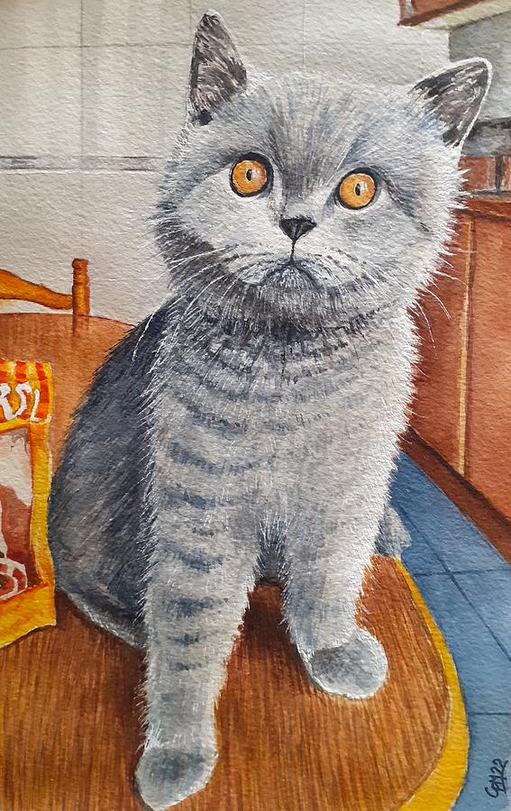 Cat in the Kitchen Painting by Carolina Prieto Moreno
