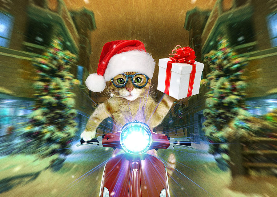 Christmas Digital Art - Cat in the Santa Claus hat delivers Christmas gifts       by Johnnie Art