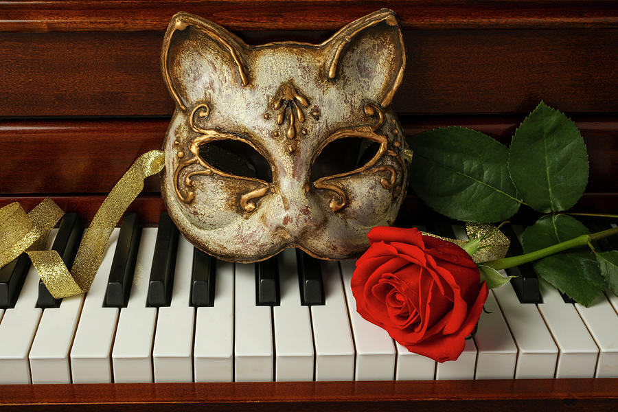 Cat Mask And Red Rose Photograph by Garry Gay