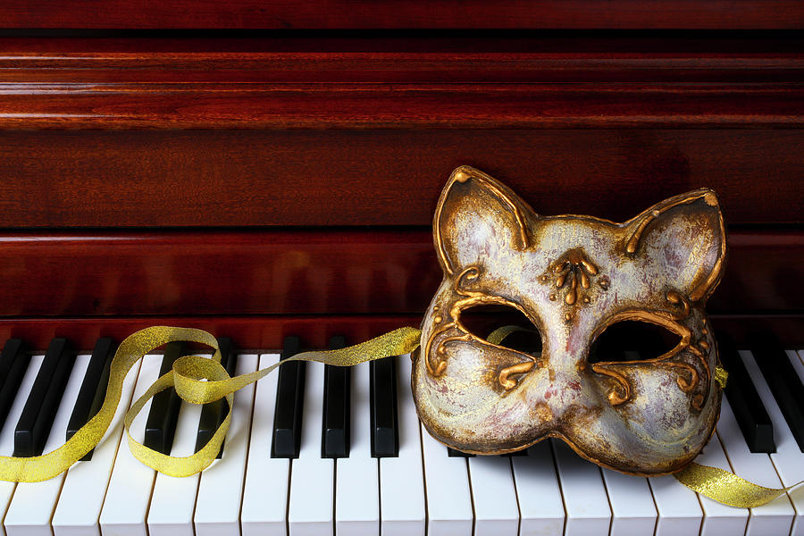 Cat Mask On Piano Keys Photograph by Garry Gay