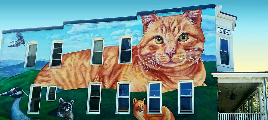 Cat Mural on House in Baltimore Photograph by Emmy Marie Vickers